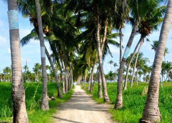 ޝެޓްސްގެ ”ލީޑާރސް ޓްރިޕް“ ގައި މިފަހަރު ތޮއްޑޫއަށް ދިއުމަށް ހަމަޖެހިއްޖެ