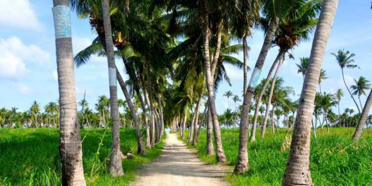 ޝެޓްސްގެ ”ލީޑާރސް ޓްރިޕް“ ގައި މިފަހަރު ތޮއްޑޫއަށް ދިއުމަށް ހަމަޖެހިއްޖެ