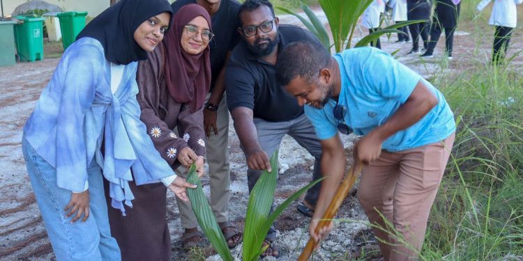 ދޮންދީނި އަދި އެސްއެސްއެލް އިން ރުއް އިންދުމުގެ ހަރަކާތެއް!