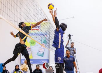 ސީ.އެފް.އެސް އާއި ފެސްޓަށް ވަރުގަދަ ފެށުމެއް